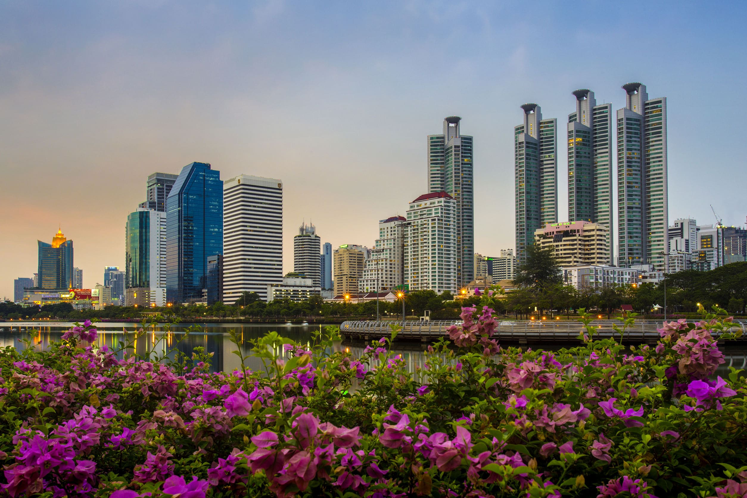 Benchakitti Park in Bangkok Nature Walks and Birdwatching