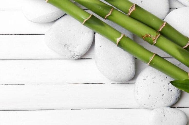 Escape To Tranquility Your Guide To The Bamboo Bliss Retreat1 at Nakhon Spa Bangkok