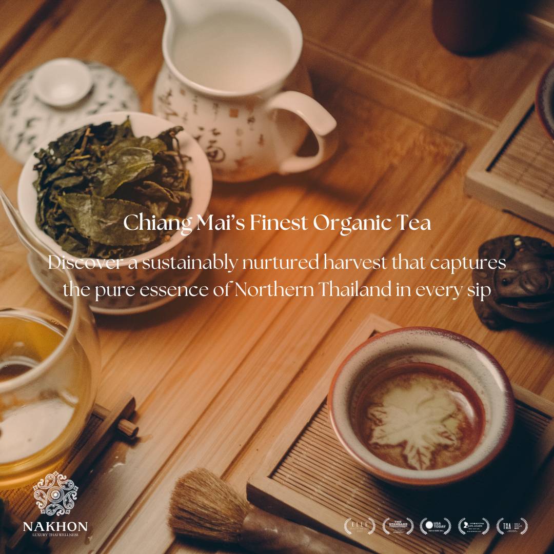 The Best Premium Tea And Wellness Retreat In Bangkok3 at Nakhon Spa Bangkok